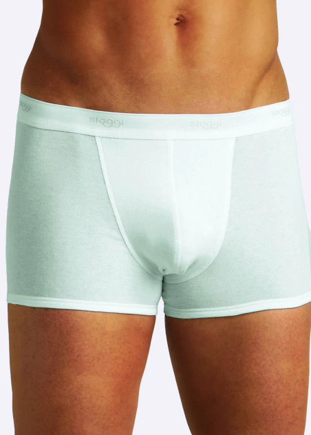 SHORTY - ILEUS-1